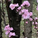 贵阳旅游 缩略图 9