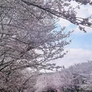 安顺旅游 缩略图 2
