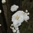 贵阳旅游 缩略图 11
