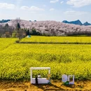 安顺旅游 缩略图 6