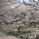 贵阳旅游 缩略图 5