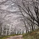 贵阳旅游 缩略图 5