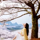贵阳旅游 缩略图 4
