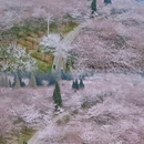 贵阳旅游 缩略图 2