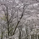 贵阳旅游 缩略图 11