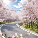 贵阳旅游 缩略图 5