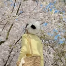 贵阳旅游 缩略图 6