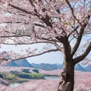 贵阳旅游 缩略图 5