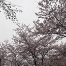 安顺旅游 缩略图 5