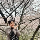 安顺旅游 缩略图 7
