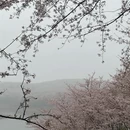 安顺旅游 缩略图 6