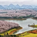 安顺旅游 缩略图 1