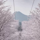 贵阳旅游 缩略图 2