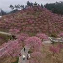 安顺旅游 缩略图 7