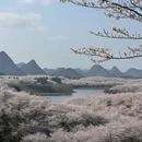 安顺旅游 缩略图 2