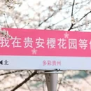 安顺旅游 缩略图 4