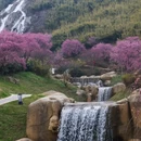 安顺旅游 缩略图 5