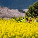 贵阳旅游 缩略图 2
