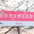 安顺旅游 缩略图 1