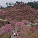安顺旅游 缩略图 6