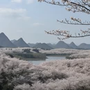 安顺旅游 缩略图 2