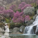 安顺旅游 缩略图 5