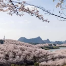 安顺旅游 缩略图 1
