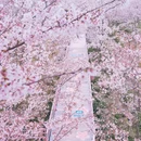 贵阳旅游 缩略图 2
