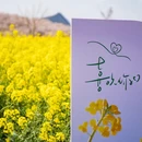 安顺旅游 缩略图 3