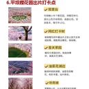 安顺旅游 缩略图 9