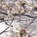安顺旅游 缩略图 11