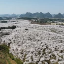 贵阳旅游 缩略图 4