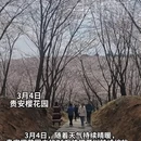 贵阳旅游 缩略图 1