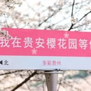贵阳旅游 缩略图 3