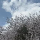 贵阳旅游 缩略图 5