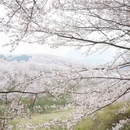 安顺旅游 缩略图 2