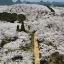 贵阳旅游 缩略图 5