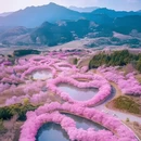 贵阳旅游 缩略图 6