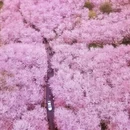 贵阳旅游 缩略图 2