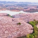 贵阳旅游 缩略图 4