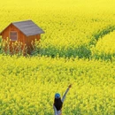 贵阳旅游 缩略图 11