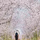 贵阳旅游 缩略图 7