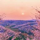 贵阳旅游 缩略图 9