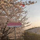 安顺旅游 缩略图 4