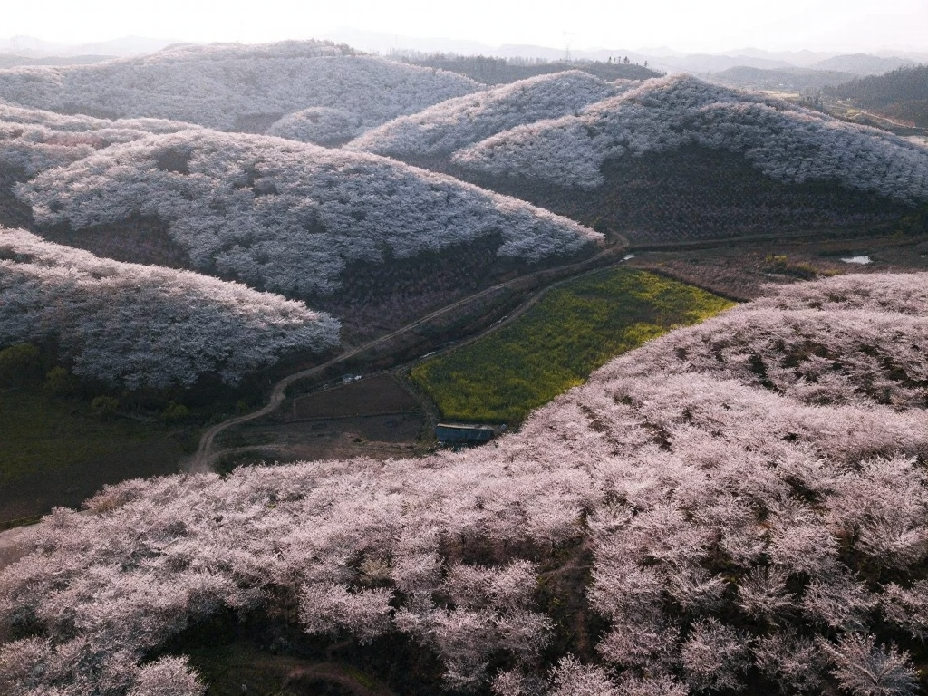 安顺旅游