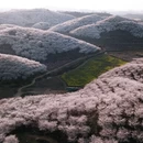安顺旅游 缩略图 1
