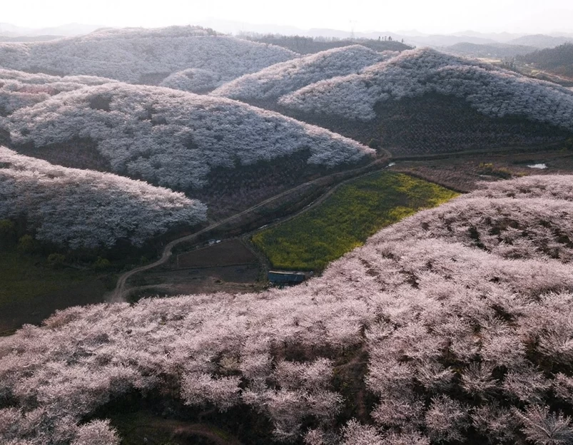 安顺旅游 1
