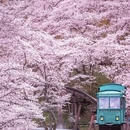 安顺旅游 缩略图 6
