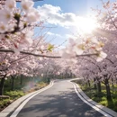 安顺旅游 缩略图 12