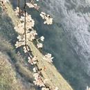 安顺旅游 缩略图 14